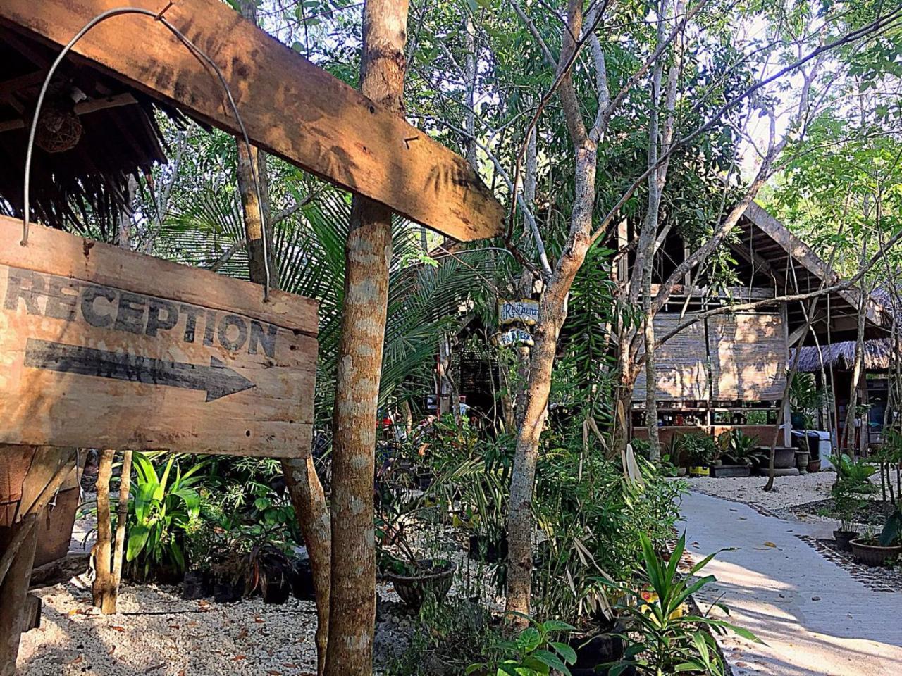 بيت شباب Bohol Coco Farm بنغلاو المظهر الخارجي الصورة