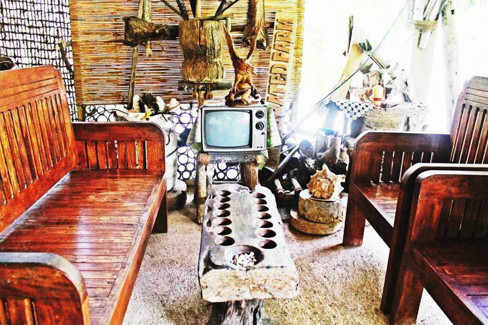 بيت شباب Bohol Coco Farm بنغلاو المظهر الخارجي الصورة